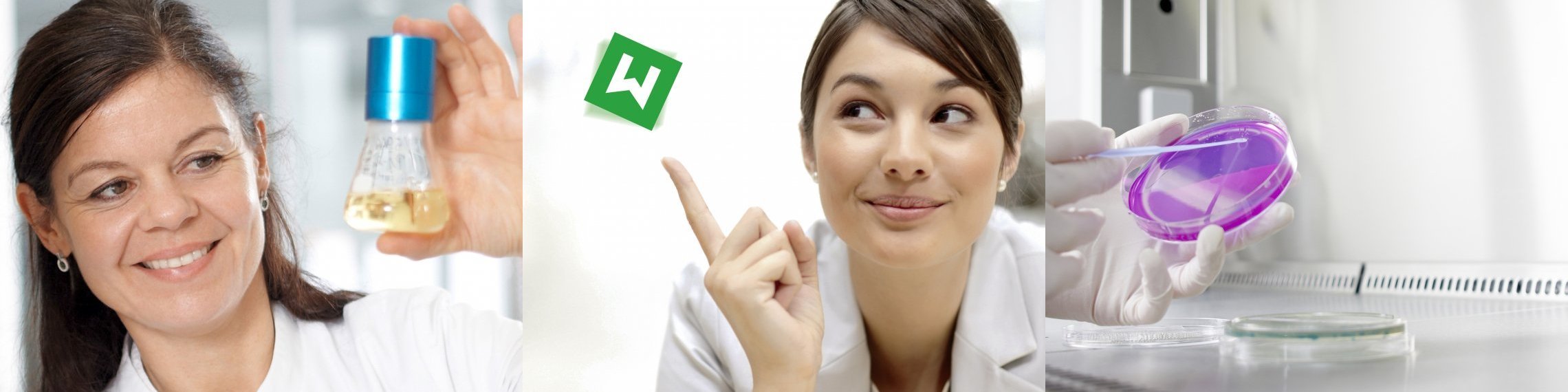 Labor Dr. Wisplinghoff als Arbeitgeber: Gehalt, Karriere, Benefits